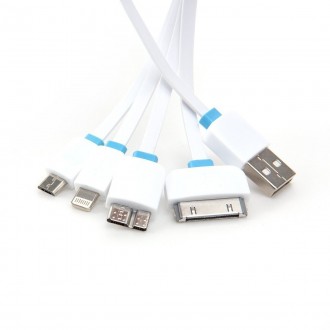 4 in 1 USB Data Cable for iPhone/Samsung Phones (1m)